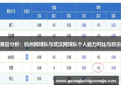 赛后分析：杭州网球队与武汉网球队个人能力对比与启示
