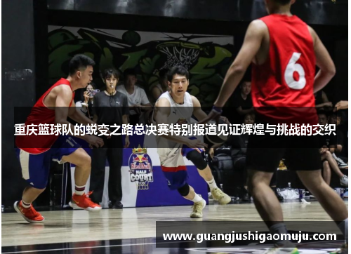 重庆篮球队的蜕变之路总决赛特别报道见证辉煌与挑战的交织