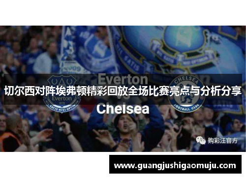 切尔西对阵埃弗顿精彩回放全场比赛亮点与分析分享